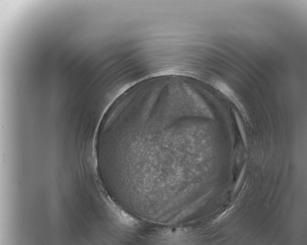 X0000066960892200604072001