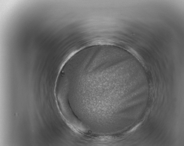 X0000066960893200604072001