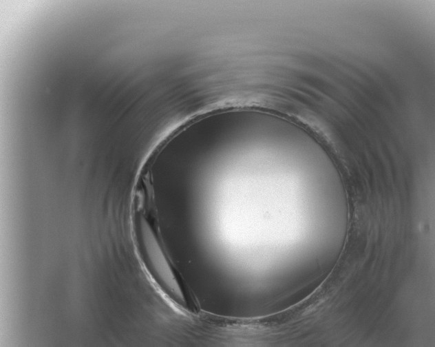 X0000066960894200604072001