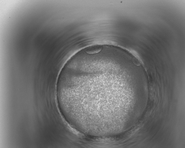 X0000066960895200604072001