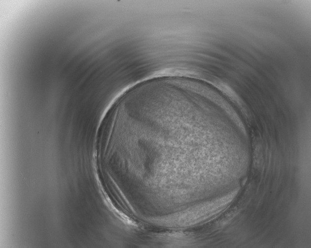 X0000066960896200604072001