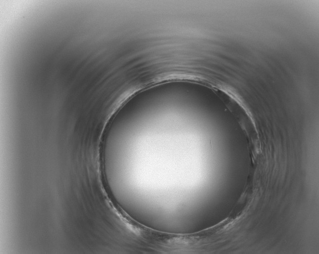 X0000066960898200604072001