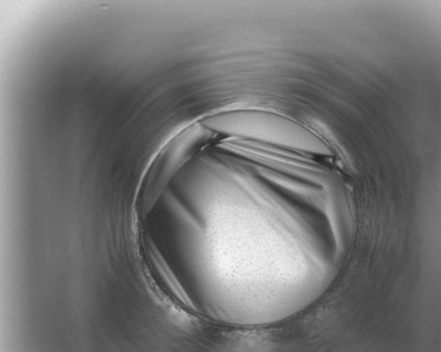 X0000066960900200604072001