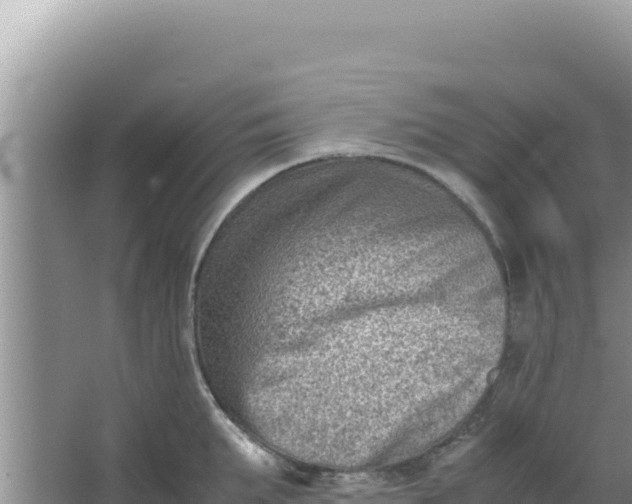 X0000066960903200604072001