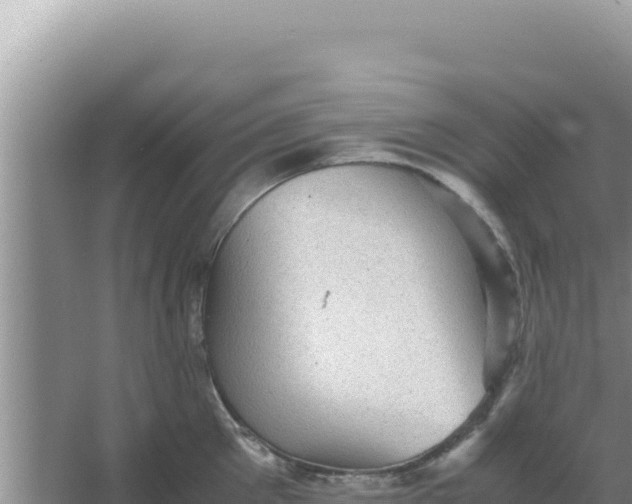 X0000066960905200604072001