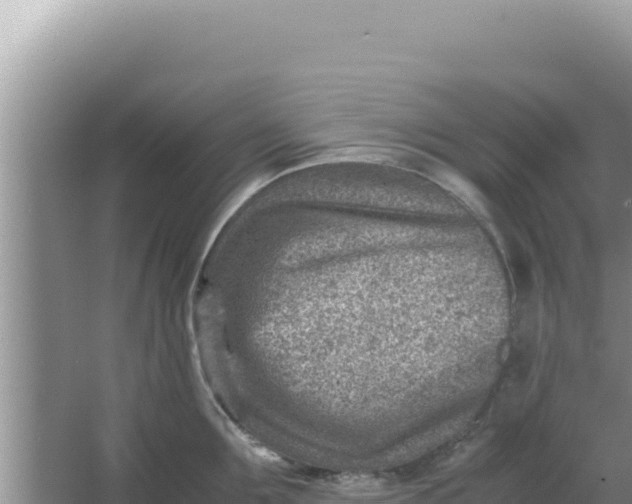 X0000066960907200604072001