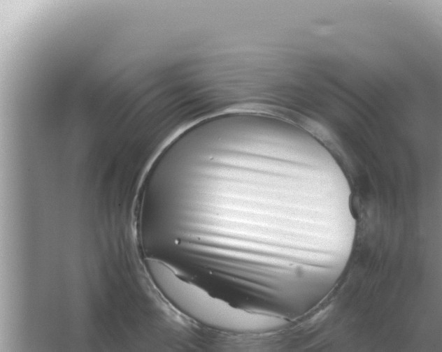 X0000066960908200604072001