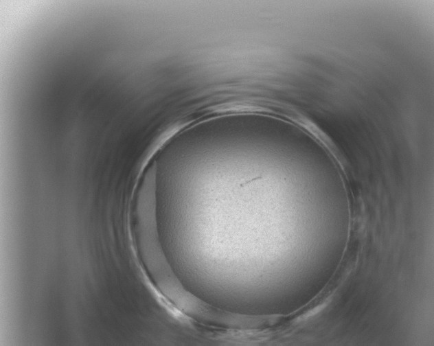 X0000066960909200604072001