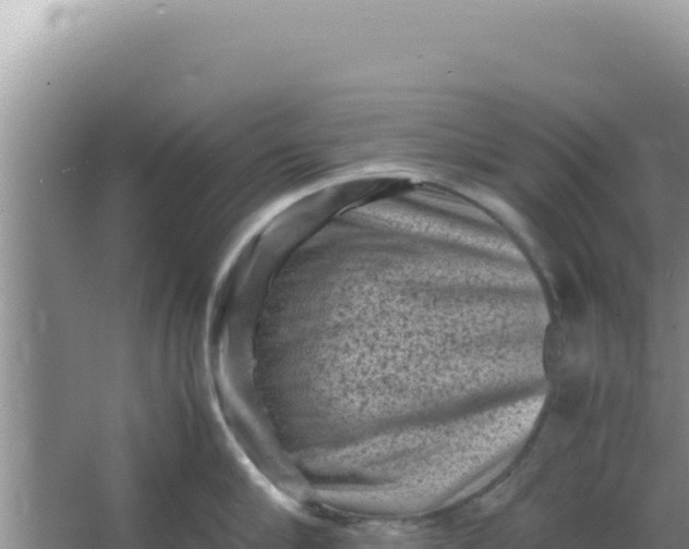 X0000066960910200604072001