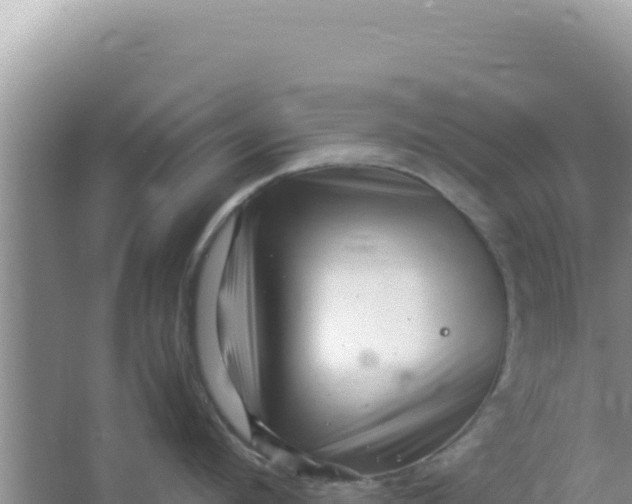 X0000066960912200604072001