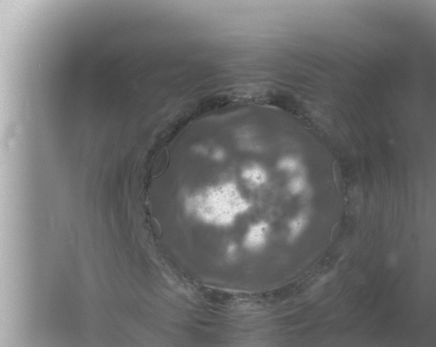 X0000066960913200604072000