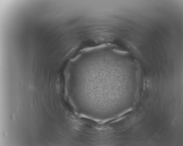 X0000066960915200604072000