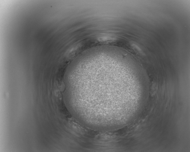 X0000066960917200604072000