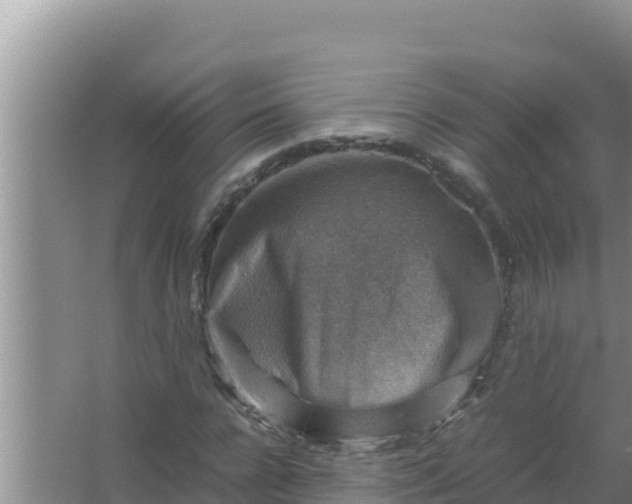 X0000066960920200604072000