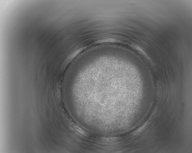 X0000066960921200604072000