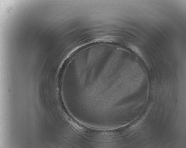 X0000066960923200604072000