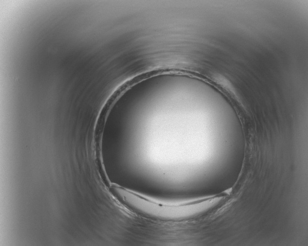 X0000066960924200604072000