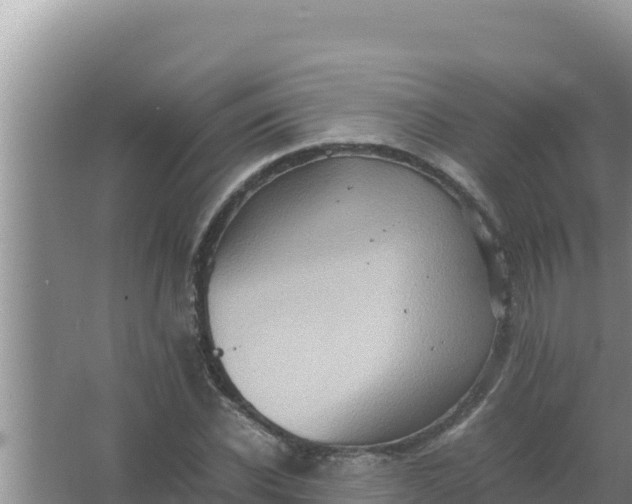 X0000066960926200604072000