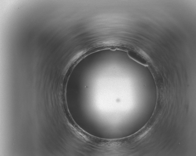 X0000066960930200604072000