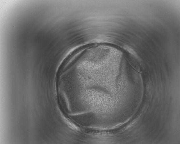 X0000066960934200604072000