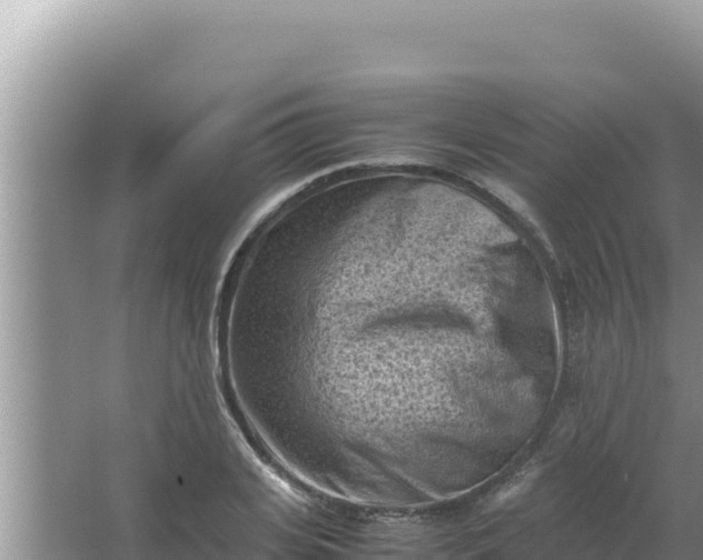 X0000066960935200604072000