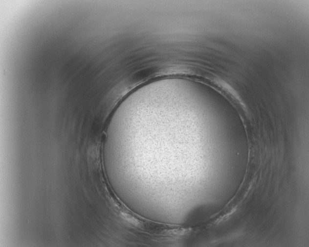 X0000066960937200604072001