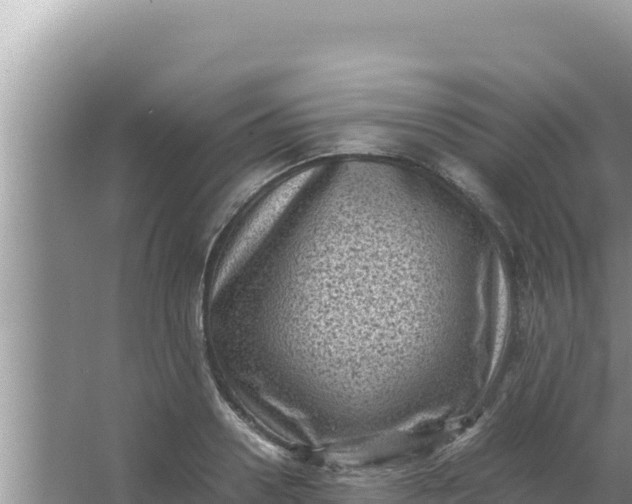 X0000066960938200604072001