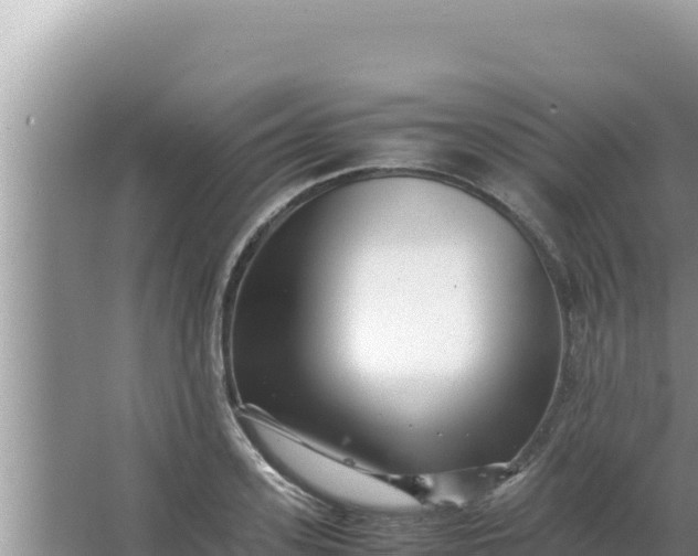 X0000066960939200604072001