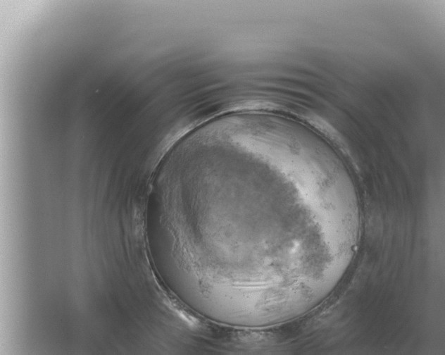 X0000066960945200604072001