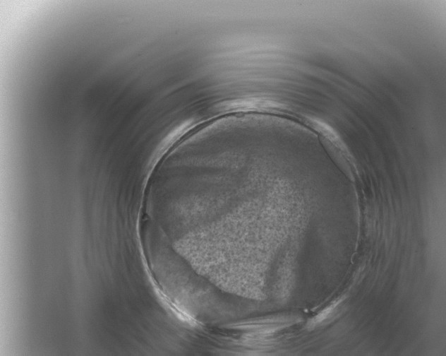 X0000066960946200604072001