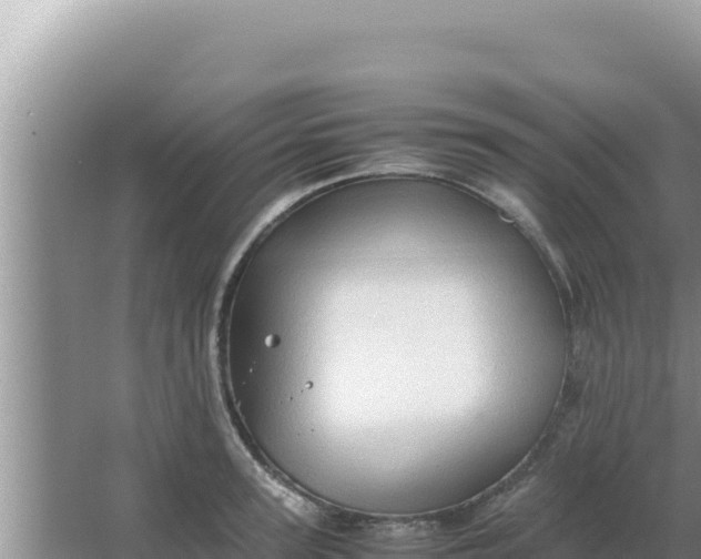 X0000066960947200604072001