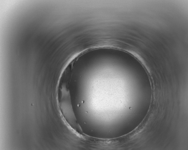 X0000066960949200604072001