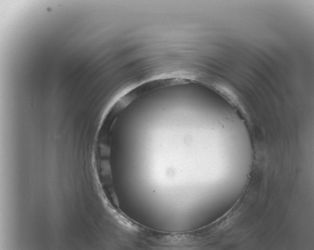 X0000066960952200604072001