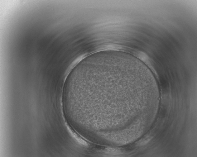 X0000066960954200604072001