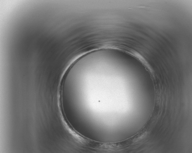 X0000066960955200604072001