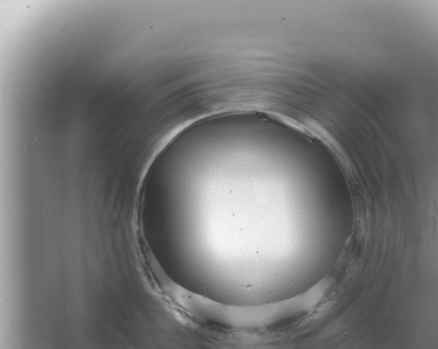 X0000066960956200604072001