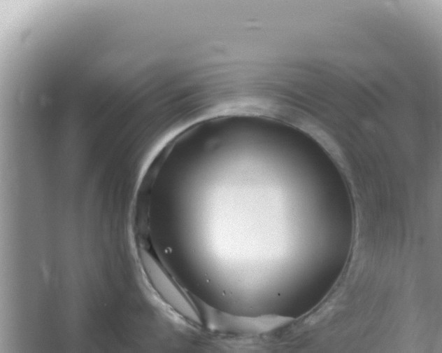 X0000066960960200604072001