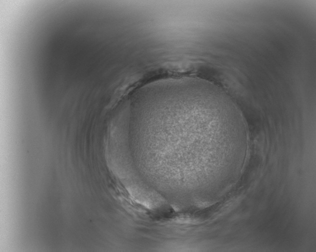 X0000066960961200604072000