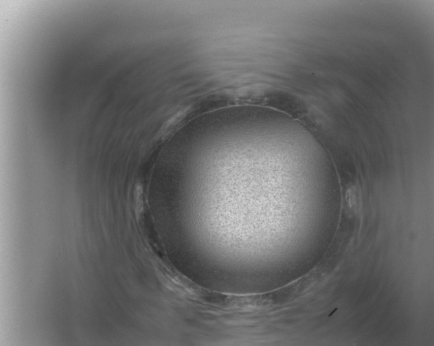 X0000066960963200604072000