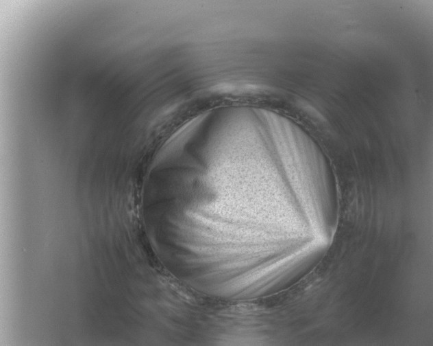 X0000066960966200604072000