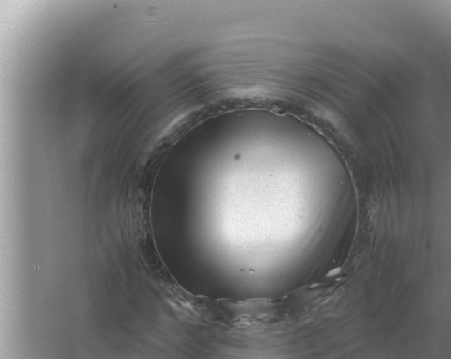 X0000066960968200604072000