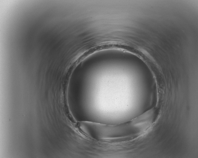 X0000066960969200604072000