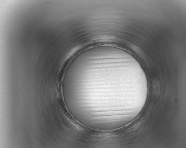 X0000066960970200604072000