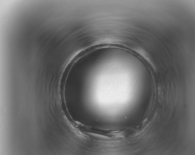 X0000066960972200604072000