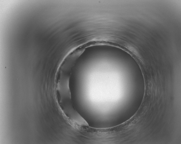 X0000066960976200604072000