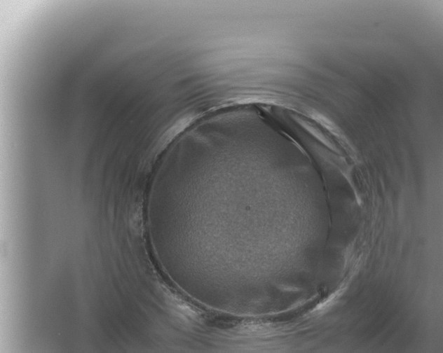 X0000066960977200604072000