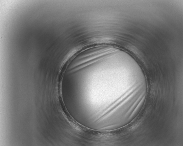 X0000066960978200604072000