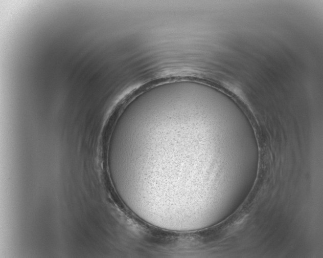 X0000066960979200604072000