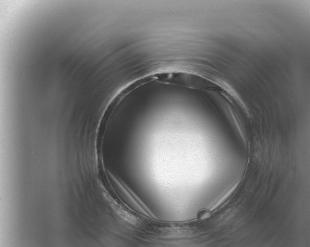 X0000066960980200604072000