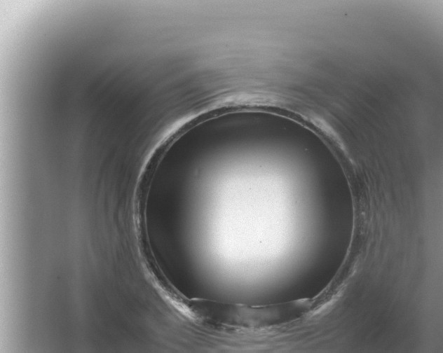 X0000066960981200604072000